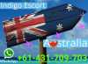 Indigo Escort Agency proposes to regiment a tour in Australia for you!!! The tour where you can earn more than anywhere else!!!Because Australia is the reaches country in the world!The big money is made right there now! So we looking for the young , sensual, stunning girls ( 21 - 38 y.o) that want to earn a lot of money fast! Waiting for your answer: Whatsapp 